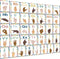YIYDONG Sign Language Bulletin Board Letters, 36 ASL Alphabet Learning Cards Set for Classroom Decor