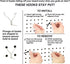 Right-Arrange Peg Board Hooks for Hanging Tools, Assortment x2 Tool Organization Accessories Kit