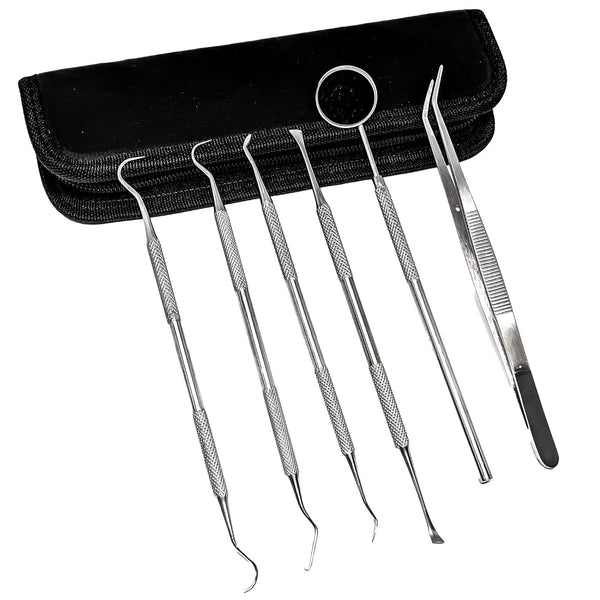 SURGICAL ONLINE Professional Dental Tools Kit, 6 pcs with Pouch, Teeth Cleaning Oral Care Kit