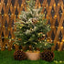 Lights,33FT 300Leds in,8 Firecracker Fairy Waterproof Twinkle Lights Plug Modes Remote String Light for Indoor Outdoor
