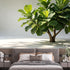 Agglomerix Custom Size Wall Murals Fiddle Leaf Fig Tree Botanical Minimalist Green Leaves SelfAdhesive Wall Fabric