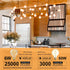 Dimmable Bulbs 60W 4 PACK G25/G80 6W 2200K Bulb, E26 Bulbs Globe Vintage Edison LED Light Equivalent, LED Amber Warm