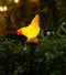 Solar Chicken Lights, Decorative Outdoor Chicken Statue Solar Light for Garden Decor