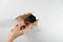 Hyde 09954 Popcorn Ceiling Repair Kit in White