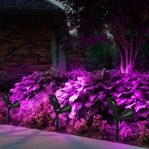 4 180 Area(Purple-1Pack) T-SUN Solar Spotlights, LED Solar Waterproof Outdoor Landscape Lights, Auto-on/Auto-Off by