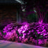4 180 Area(Purple-1Pack) T-SUN Solar Spotlights, LED Solar Waterproof Outdoor Landscape Lights, Auto-on/Auto-Off by