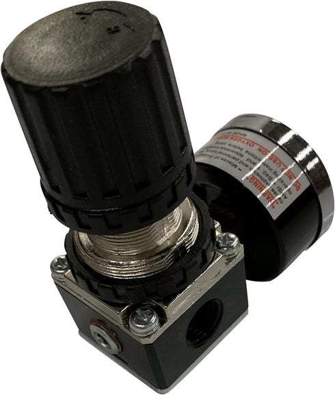 MINI PRESSURE REGULATOR FOR COMPRESSED AIR SYSTEMS, 1/4" NPT PORTS, ADJUSTABLE 7 TO 140 PSI