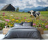 DUPIELU Dairy Cows Wallpaper, Western Farms Mural, Floral Animals Mural Wallpaper for Living