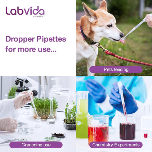 200PCS 3ml Disposable Plastic Transfer Pipettes - Calibrated Dropper for Essential Oils, Science Laboratory, DIY Art