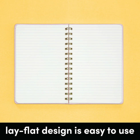 PAPERAGE Lined Spiral Journal Notebook, Rainbow Stripe, 160 Pages, Medium 5.5 inches x 8 inches, 100 GSM Thick Paper,