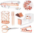 Rose Gold Desk Accessories Set, Acrylic Stapler, Tape Holder, 2 Ballpoint Pens, Scissors, Clips, 1000 Staples