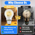 6-PCS A19 Bulb, 43 120V E26 60W Bulbs Halogen Light Watt Base, Replacement Non-LED for Table Lamps & Home Lighting