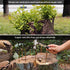 12 Pcs 4 Inch Long Copper Nails Spikes for Tree Killing, Stump Removal with 1 Pcs Steel Nails, Storage Box Included