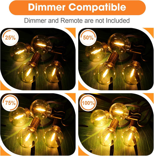 25 Pack G40 LED Replacement Light Bulbs, E12 Screw Base, Waterproof Globe Bulbs for Indoor Outdoor String Lights