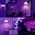 Purple Light Bulbs for Outdoor Porch - 9W E26 Base LED Bulb for Halloween, Christmas, Wedding, Party, 2-Pack