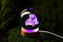 DIGFPWT 3.15 Inch K9 16 Crystal Ball Panda Family Night Light, Crystal Glass Ball, Color Change with Remote Control