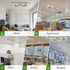 Smile Sunflower 3PCS 10 Merry Christmas Cactus Gift Linen Fluorescent Light Covers - Lampshade Ceiling Lights