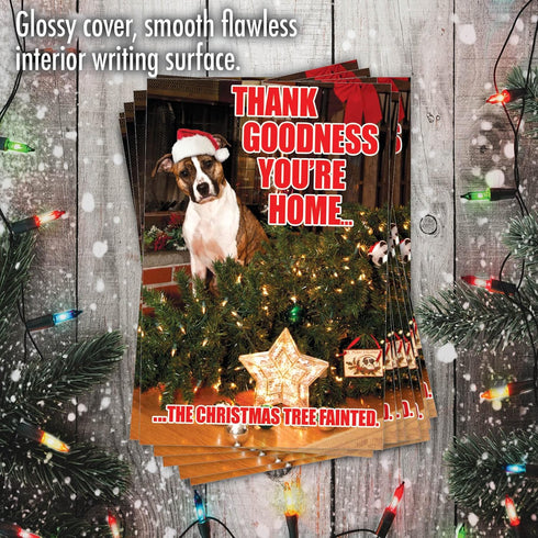 Pack 36 (1 36 C1144XSG-B36 NobleWorks Bulk of Humorous Merry Christmas Greeting Cards w/Envelopes, Boxed Funny Holiday