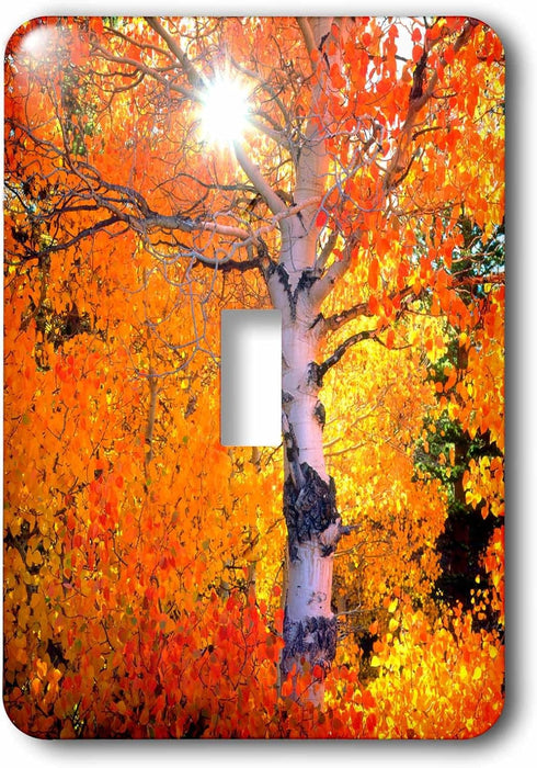 3dRose lsp_205733_1 USA, California Aspen Trees in The Sierra Nevada Mountains Single Toggle Switch by 3dRose