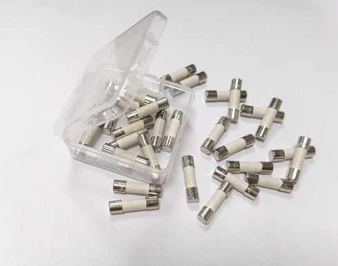 12A Fuse, 12A250V, T12A250V, 12AH Fuses, Ceramic fuses, 20pcs, 5 * 20mm Lag Axial