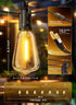 30FT 11+1 ST38 Dimmable IP65 Brightown Outdoor String Lights, LED LED Patio Lights Shatterproof, Waterproof Connectable