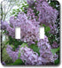 3dRose lsp_3139_2 Lilac Double Toggle Switch