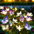 Solar Garden Lights - Solar Lights Outdoor Garden, Garden Lights Solar Powered, Decor for Garden, Yard, Patio, Pathway,