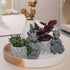 Guichifun Dragon Pen Holders, Set of 2 Cute Decor Figurines for Desk, Fashion Organizers for Women and Kids