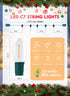 C7 25FT 26 0.6W Bulbs (1 Brightown Clear LED Christmas String Lights Outdoor, Connectable with Spare), Vintage Hanging