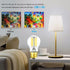 Dimmable A15 Bulb 8W 75 Bulb 4000K AC120V 900LM E26 Bulb Bulb,Pack 6. Leools led Equal watt Vintage LED Edison Neutral