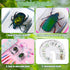GlikCeil 12 10x Pcs Insect in Resin Specimen Bugs Discovery Kit Collection Paperweight Bug with Information Flash Cards