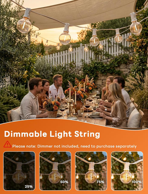 25Ft 27 Bulbs(2 Abeja LED Outdoor String Light, Patio Globe String Lights with Shatterproof LED Clear Spare), Hanging