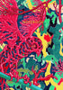 James Jean Schema Notebook Collection - 3 Gridded Notebooks