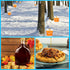 Generic 5 5 5 5 Maple Syrup Kit - Collection Bag Drill Taps | Spiles Taps Brush Collection Bag,for Collecting Filtering