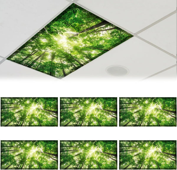 CASYUNE 6pcs Fluorescent Light Covers - Light Covers for Ceiling Lights Classroom Magnetic