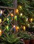 Xingzd 8.5Ft 10 Summer Parrot Outdoor String Lights, LED Tropical Themed Patio Lights with Multicolor Birds Lights