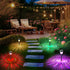 2 Pack echosari Color Changing Solar Pathway Lights, Dynamic Pattern Multicolor & Warm White Solar Lights Outdoor