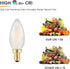 Frosted E12 LED Candle Light Bulbs, 2W Dimmable, 25W Equivalent, 2700K Soft Warm, 3 Count