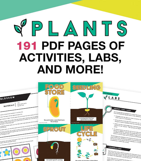 In A Flash Plants Science Instructional ResourcesFlash Drive With Lessons, Labs, Observation