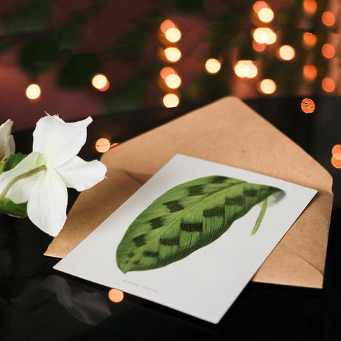 Artery8 Blank Art Greeting Card - AF Lydon Benjamin Fawcett Design