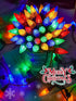 2 Pack C6 200 66 13 Christmas Lights Outdoor Indoor, Total LED FT Connectable Christmas String Lights with Timer