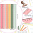 Panelee 306 Pcs 12 Inch Plastic Ruler, Colorful Transparent Ruler with Inches and Centimeters for School