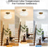 Bathroom,Bulb Industrial Semi Flush Mount Ceiling Light Fixture,Gold Globe Glass Hallway Lights Fixtures
