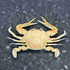 GFAZXDS A,15cm, Figurine,A-15cm Real Crab Insect Specimens Animal Taxidermy Collection for Science Education & Desk