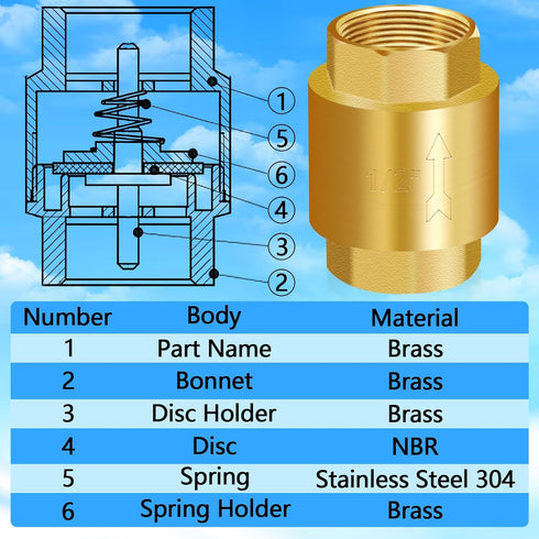 Boltigen 2PCS 1/2 Inch NPT Solid Brass Spring Check Valve, Non Return Horizontal Water Check Valve