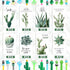 96 Set Colarr Cactus Themed Gifts Bulk with Cute Cartoon Cactus Pens Inspirational Pocket Notepads Motivational