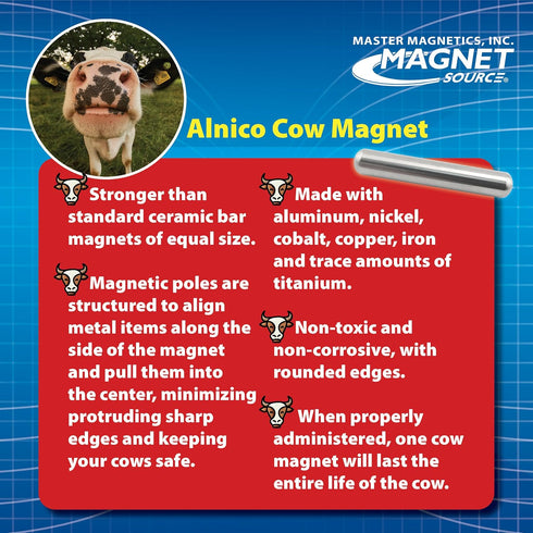 Master Magnetics Original Cast Alnico 5 Cow Magnet, Strong Heavy-Duty Magnets for Cows