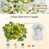 Operated,23FT 73LED YOUNGAR Ivy Vines with Fairy Lights,Leaf String Warm White Lights Battery/USB Fake for Bedroom Wall