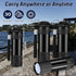 20 VIHOSE Pcs Mini Flashlights Bulk, Bright Aluminum Handheld Flash Light with Lanyard Small LED Flashlights for Night