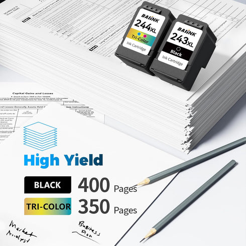 Remanufactured Ink Cartridge Combo Pack for Canon Ink 243 and 244 (Black Tricolor) for TR4520 MX490